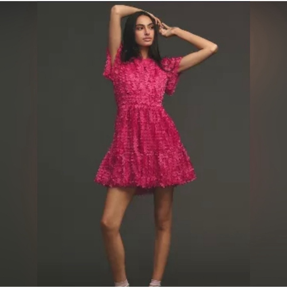 Somerset Mini Dress: Floral Appliqué Edition NTW